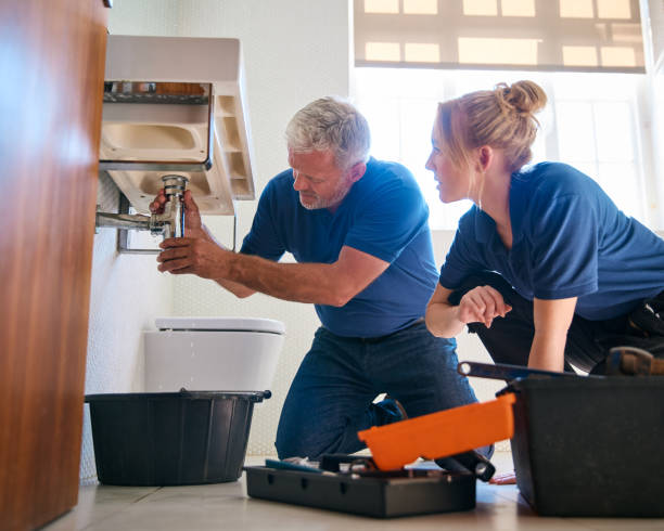 Best Local Plumber Services  in Elsa, TX