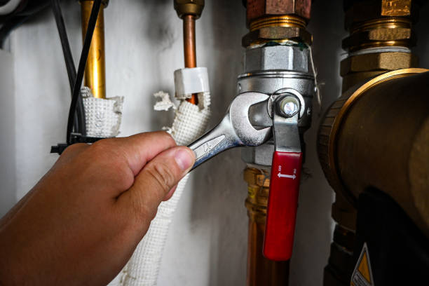 Best Affordable Plumbing Services  in Elsa, TX